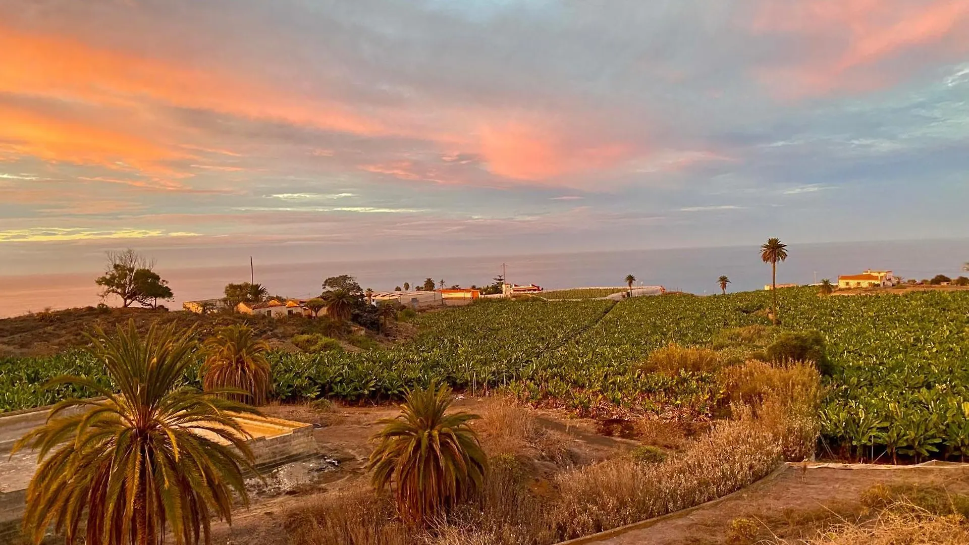 Villa Alpispa Las Palmas de Gran Canaria